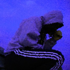 nightcrawler