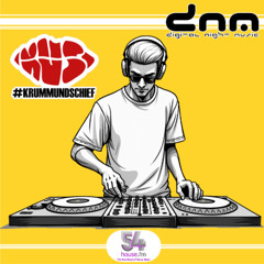 Digital Night Music pres. Krumm & Schief Edition 433