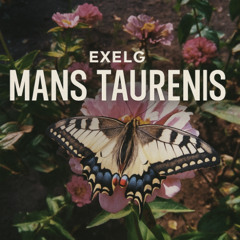 Mans taurenis