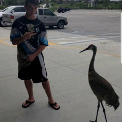 Action and Adventure