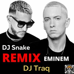EMINEM - Rap God / Propaganda (DJ Traq Remix)
