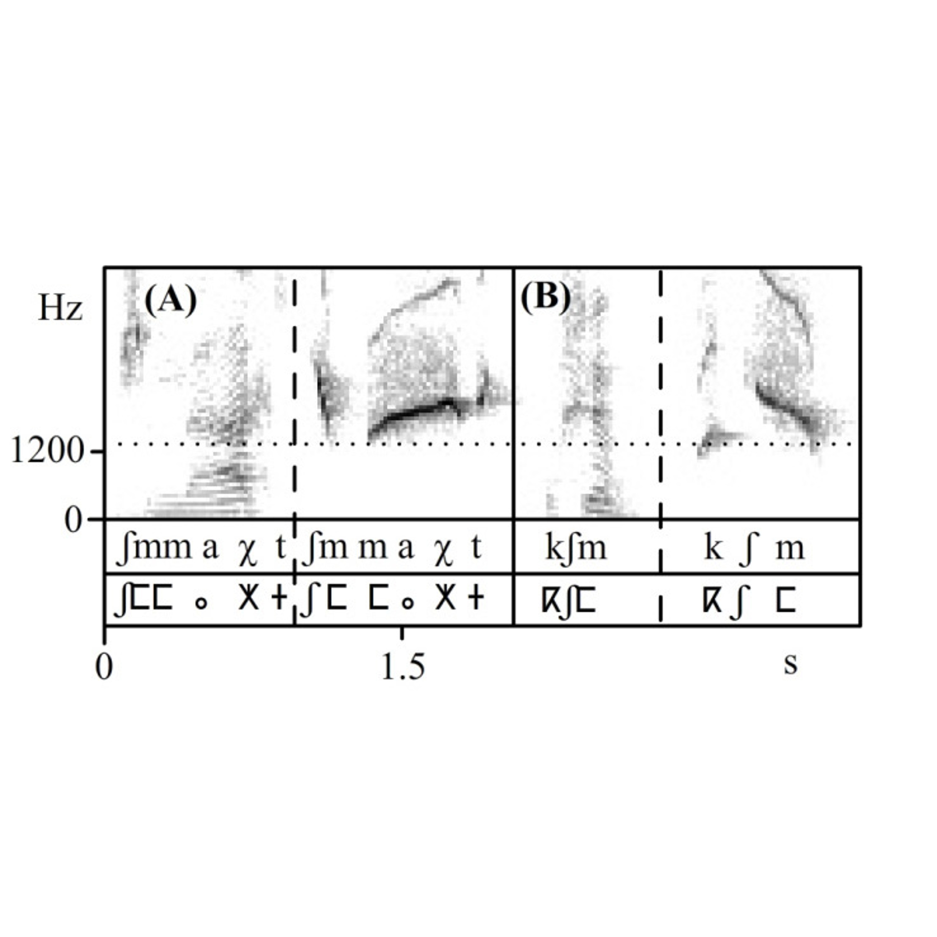 Environmental and Linguistic Typology of Whistled Languages: Audio S11b episode artwork