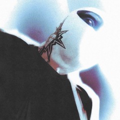 Alex Finkin & Rocco Rodamaal