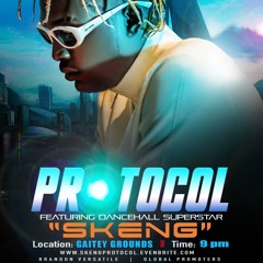 Protocol Promo Mix