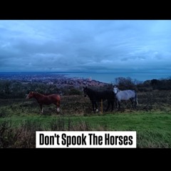 Don't Spook The Horses