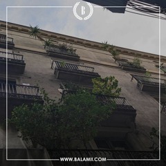 Medlar - April 2023