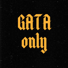 GATA ONLY (Jiinio Remix)