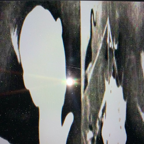 PAYNXDEADYUCCA — PHALIC