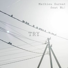 Mathieu Surnat - Try {feat Ni!}