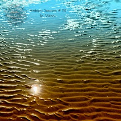 Ambient Sessions # 118 - In Vitro - (Siesta Sonora Live On Pi Teatro)