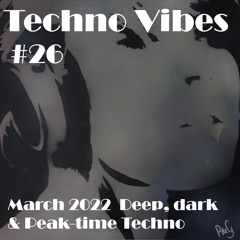 Techno Vibes #26 [Ramon Tapia, Rebel Boy, AKKI (DE), Kaspar (DE), Paxtech, Shadym, Niereich & more]