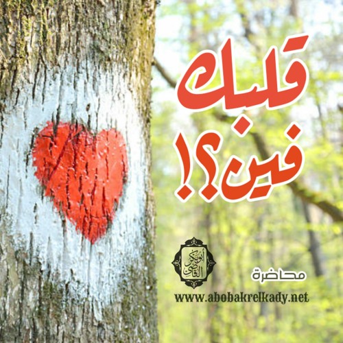 قلبك فين - سلسلة مدرسة الحياة - د ابو بكر القاضي