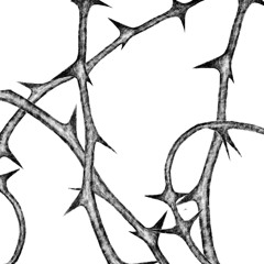 Rosa de Plata, Espinas de Oro