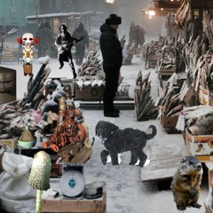 SnowSylum