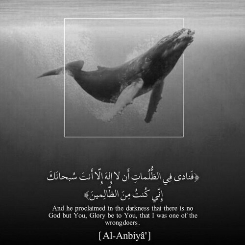 الشيخ محمود محمد رمضان