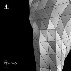 Indefinite Pitch PREMIERES. Diffused Signal - Osmo [Khoros]