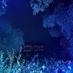 Dr Dubplate - Migrane Skunk