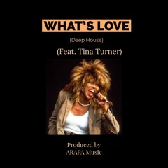 What’s Love (Tina Turner) Deep House