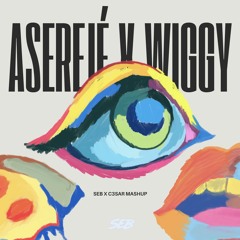 ASEREJÉ X WIGGY (SEB X C3SAR MASHUP)