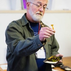 Often Overlooked Spring Fungi with Andrew Methven, PhD