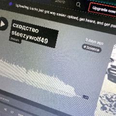 сходство steezywolf49