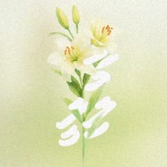 Maa Lily  Heyvalla_ft_Lily