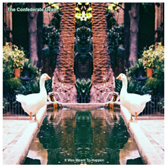 Trip Inside This House 0424