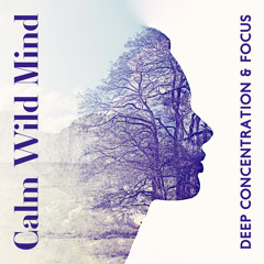 Calm Wild Mind: Deep Concentration Music for Focus and Creative Work, Inspiring Jungle Sounds to Relax Your Mind with Ease and Flow
