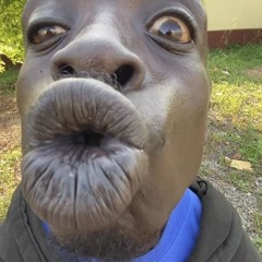 happy mother fucking birthday-1.wav