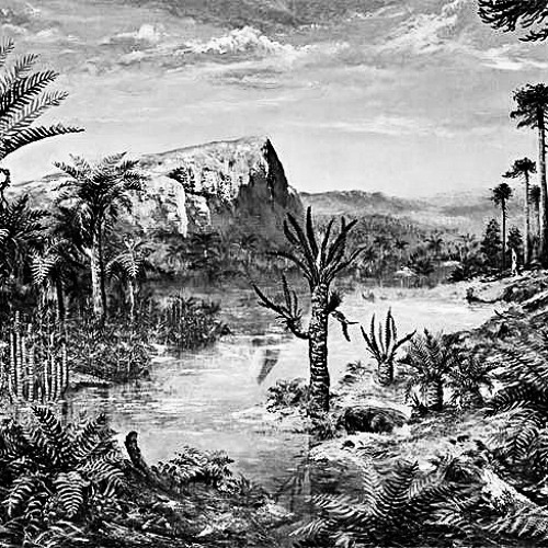 Paleogene