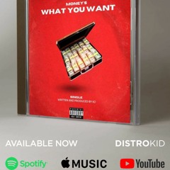 Money What You Want