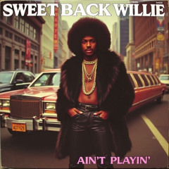 SWEETBACK AIN'T PLAYIN' - Sweetback Willie