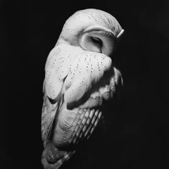 inevitable prod meraki