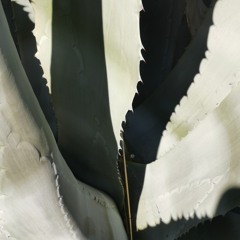 live at smallforms (24.02.2023)