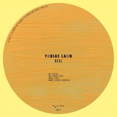PREMIERE | Tobias Laun - Luzid Dream [SOL015]