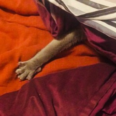 INVIERNO24 Cordoba Argentina (Diego Sampietro SetMix)