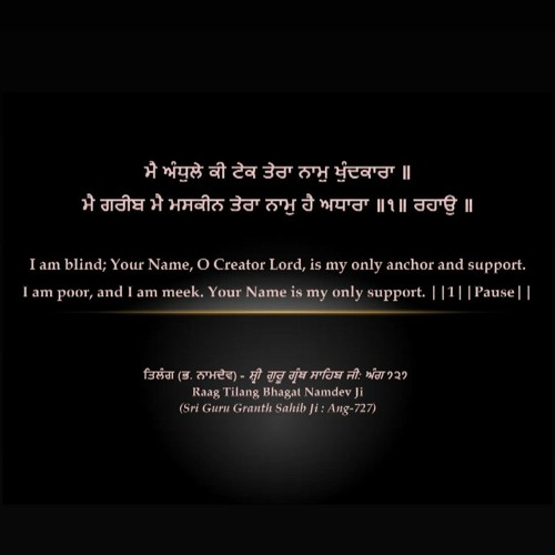 Mai Andhule Ki Tek | Bhai Mehtab Singh Ji Jalandhar Wale
