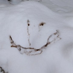 Mu kõige lemmikumad