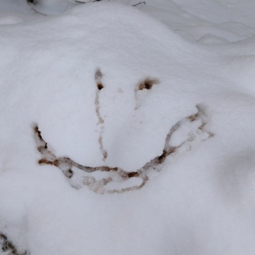 Mu kõige lemmikumad