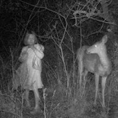 The Great Hunt