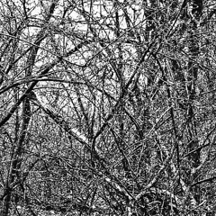 ZILLTRAFER-Ric flair drip  [official audio]