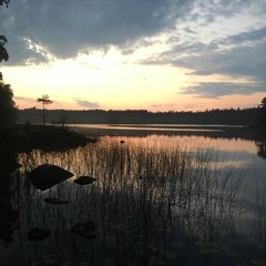 Visa Vid Midsommartid