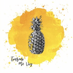 Touzani - Me Voy [trndmsk]