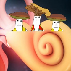 What should I name the fungus on my cochlea that is terminating my ability to hear funny music