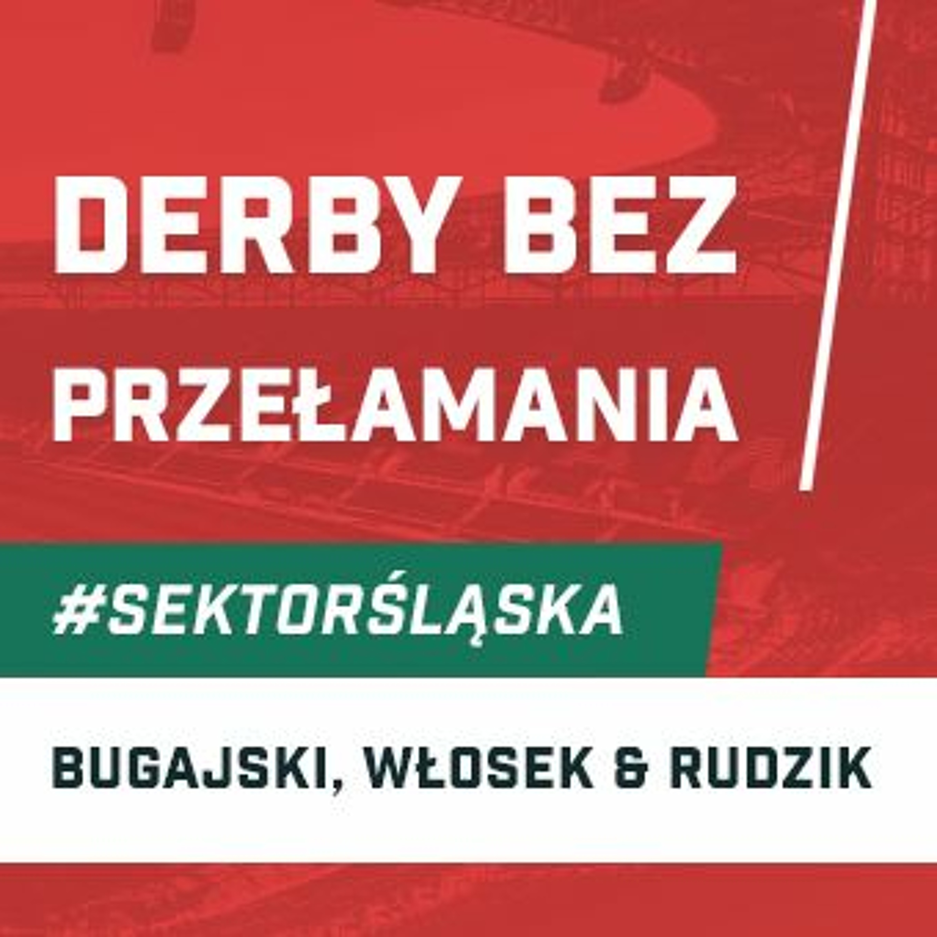Śląsknet