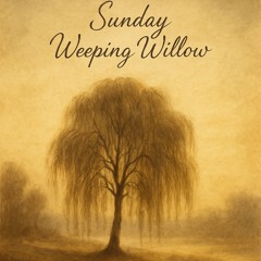 Sunday Weeping Willow