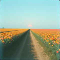 Quelle est ma place _