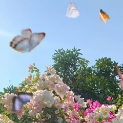 ILLIT - pimple (slowed and reverbed)