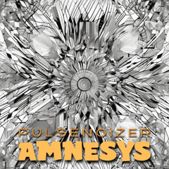Pulsenoizer - Amnesys