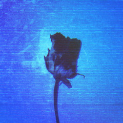 Sugar Rody - Middle East Nights [Disco Pastors]